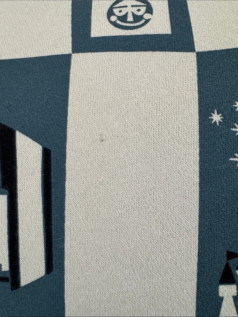 Disney Tokyo Blue and White Checkerboard Park Icon Accent Pillow